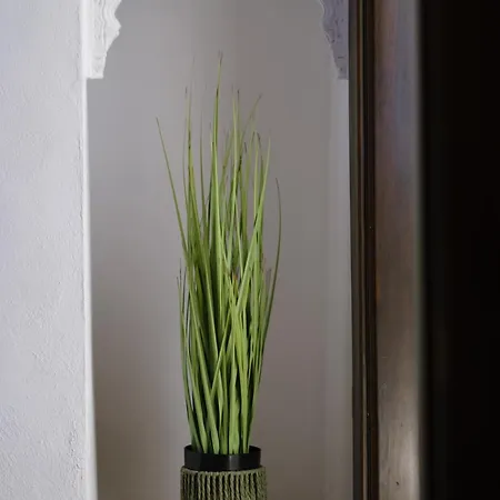 Patio Muralla Romana ¡se Parte De La Historia! * Córdoba