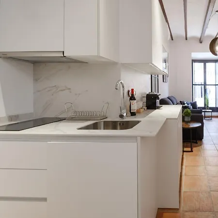 Appartement Patio Muralla Romana ¡se Parte De La Historia!