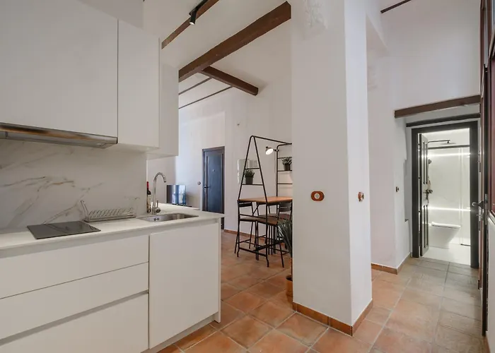 Patio Muralla Romana ¡se Parte De La Historia! Διαμέρισμα *