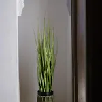 Patio Muralla Romana ¡se Parte De La Historia! * Córdoba