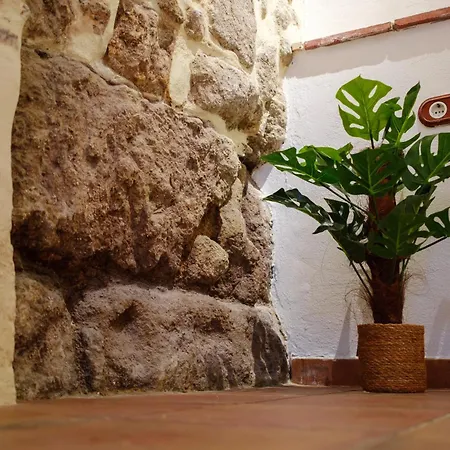 Patio Muralla Romana ¡se Parte De La Historia! Lägenhet Córdoba