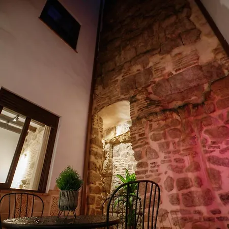 Patio Muralla Romana ¡se Parte De La Historia! Lägenhet
