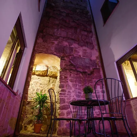 Patio Muralla Romana ¡se Parte De La Historia! Lägenhet *