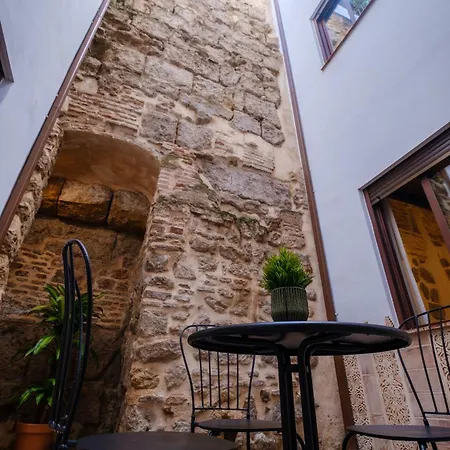 Lägenhet Patio Muralla Romana ¡se Parte De La Historia!