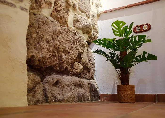 Patio Muralla Romana ¡se Parte De La Historia! Apartmán Córdoba