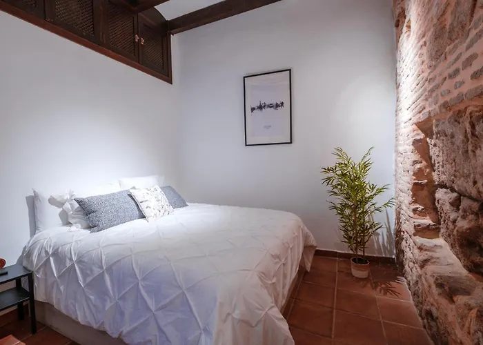 Apartmán Patio Muralla Romana ¡se Parte De La Historia! *