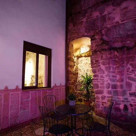 Apartment Patio Muralla Romana ¡se Parte De La Historia!