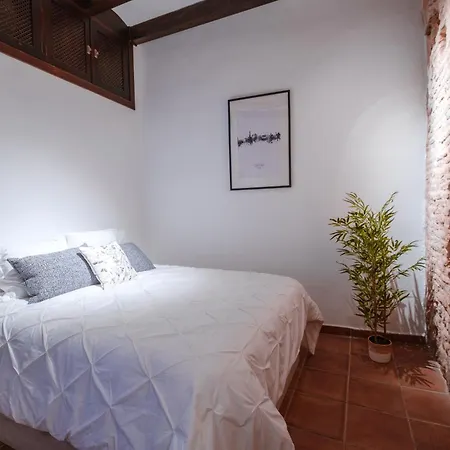 Apartment Patio Muralla Romana ¡se Parte De La Historia! *