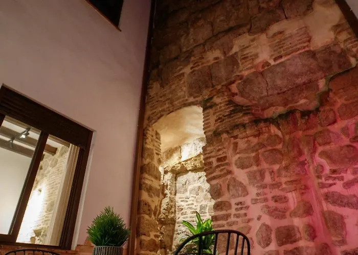 Patio Muralla Romana ¡se Parte De La Historia! Apartment